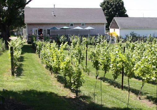 The Langworthy Inn & Winery Westerly Kültér fotó